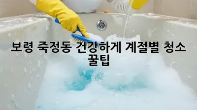 🏡 보령 죽정동, 건강하게! 계절별 청소 꿀팁 🌿