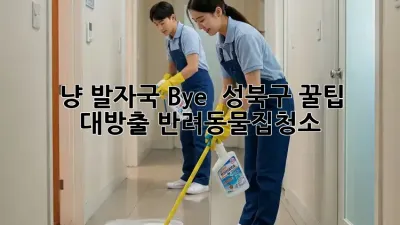 🐶 🐾 냥🐾 발자국 Bye! ✨ 성북구 꿀팁 대방출! #반려동물집청소