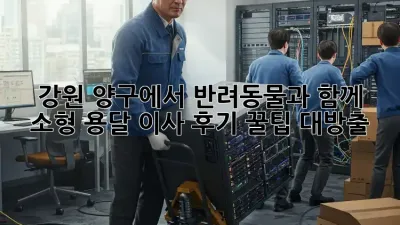 강원 양구에서 반려동물과 함께 소형 용달 이사 후기: 꿀팁 대방출!